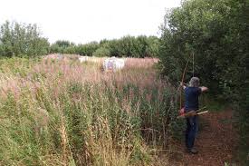 Image result for Row Brow Field Archery