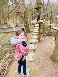 Image result for Go Ape! Leeds Castle