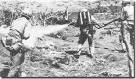 Ahoy - Mac's Web Log - Bloody Iwo Jima. A 36 day Battle for ...