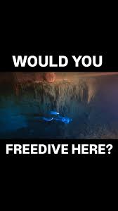 Image result for Notanx Freedive Club