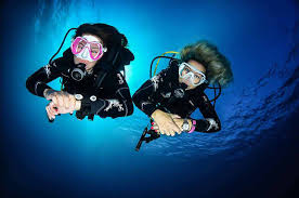 Image result for Barnsley BSAC Divers