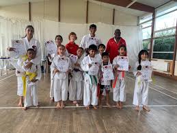 Image result for HEIWA SHOTOKAN KARATE CLUB