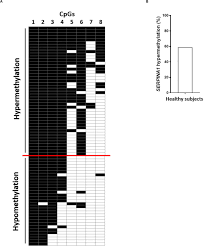 Image result for selvatici tehron