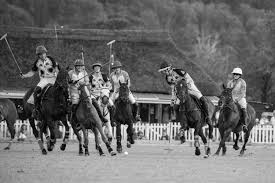 Image result for Taunton Vale Sports Club