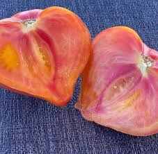 Afbeeldingsresultaat voor black oxheart tomato