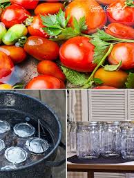 Afbeeldingsresultaat voor cabin tomato