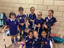 Image result for Sevenoaks Hockey Club