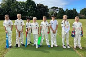 Image result for Ferring Cricket Club