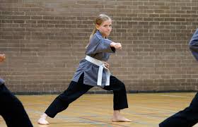 Image result for Shaolin Nam Pai Chuan Kung Fu - Manchester Martial Arts Centre
