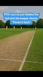 Image result for Loose Cricket Club