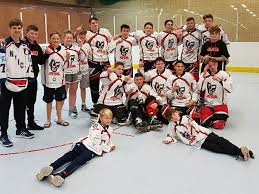 Image result for Borehamwood Crusaders