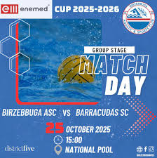 Image result for Blaenafon Barracudas Sc