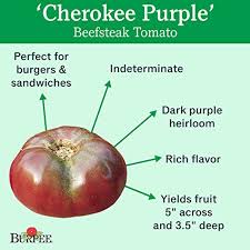 Afbeeldingsresultaat voor cherokee purple tomato