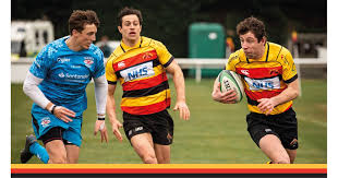 Image result for Litchfield Saracens