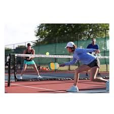 Image result for Pickleball Bournemouth