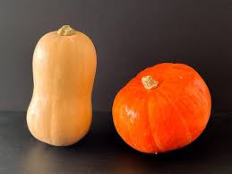 Image result for Kürbis