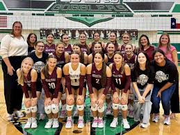 Image result for Chesterfield Cobras Volleyball Club