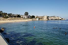 Image result for Breakwater Divers