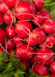 Image result for Radieschen