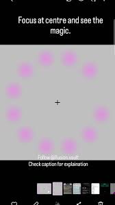 Image result for Lilac Chaser