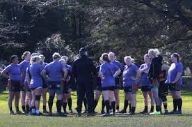 Image result for Ellingham and Ringwood Rugby Club