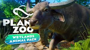 Image result for Wild Water Planet