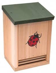 Image result for ladybug house