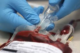 Image result for blood