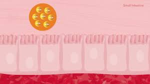 Image result for Malfoder