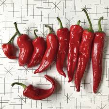 Afbeeldingsresultaat voor numex chimayo hot pepper