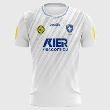 Image result for Sarsfields Hurling Club