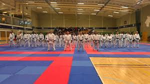 Image result for Ataru Shotokan Karate Club