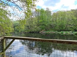 Image result for Annbank Angling Club