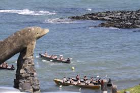 Image result for Aberporth Rowing Club