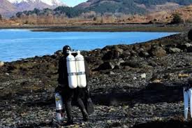 Image result for Calshot Sub-Aqua Club