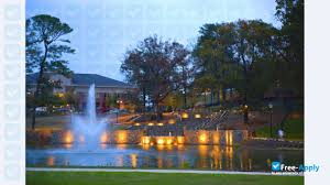 Image result for City Of Birmingham Sc