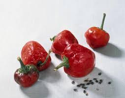Afbeeldingsresultaat voor red rocoto hot pepper
