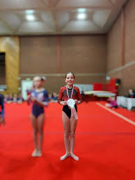 Image result for Tamworth Olympic Gymnastics Club