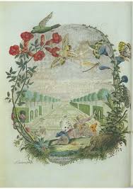 Attēlu rezultāti vaicājumam “Cribraria intricata young”