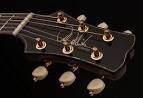 Private Stock Collection Series V Collection Grand Acoustic (