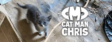 Image result for cat man