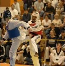 Image result for Kees Tae Kwon Do