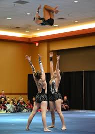 Image result for Elements Acro