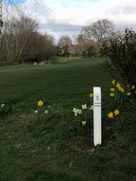 Image result for Shropshire Disc Golf Club