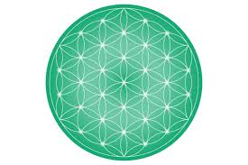 Image result for life flower