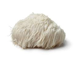 Attēlu rezultāti vaicājumam “Erinaceus sp.”