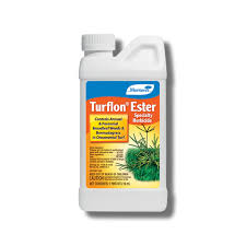 Image result for agrobellon tehron