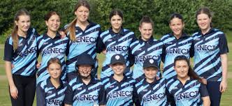 Image result for Alrewas Cricket Club