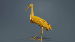 Attēlu rezultāti vaicājumam “Ciconiiformes”