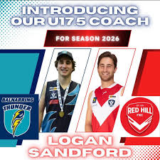 Image result for Redhill Juniors FC